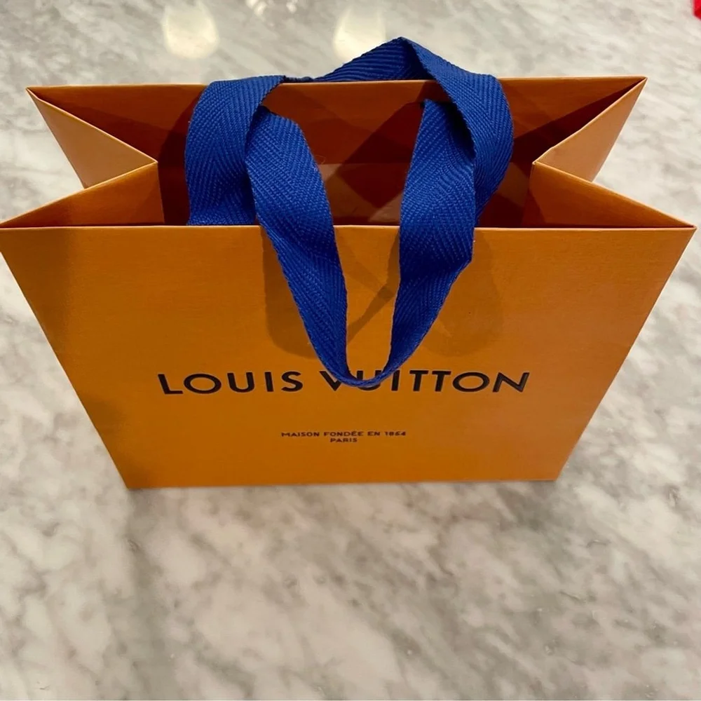 Louis Vuitton Small Gift Bag - Authentic